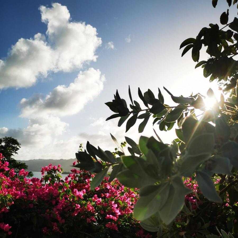 Vue Sur Mer A La Villa Parme لو روبرت المظهر الخارجي الصورة